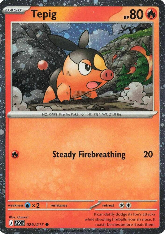 Tepig - (Cosmos Holo) Common Miscellaneous Cards & Products 029/217 NM (Back)