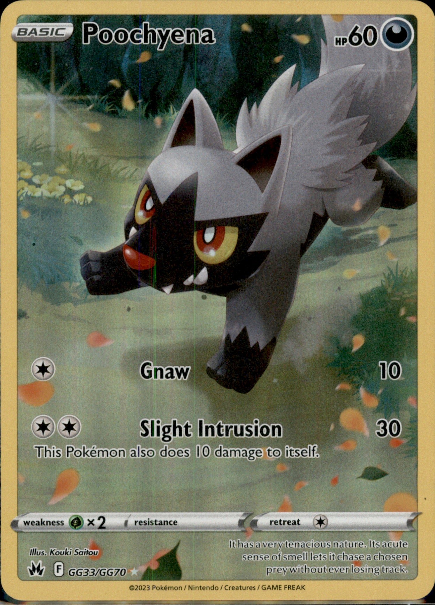 Poochyena Ultra Rare Crown Zenith: Galarian Gallery GG33/GG70 NM
