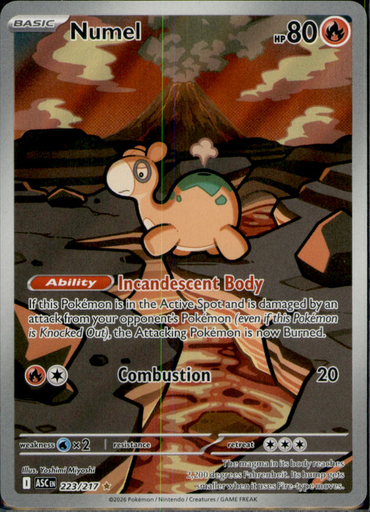 Numel Illustration Rare ME: Ascended Heroes 223/217 NM
